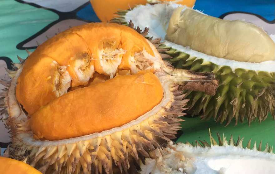 Gak suka Durian? Rugi, Banyak Manfaatnya loh!