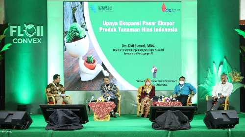 Bisnis Potensial dari Tanaman Hias Buka Peluang Ekspor Impor Indonesia